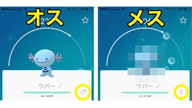 ポケモンgo 性別 オス メス の違いでポケモンの見た目が変化 Appbank