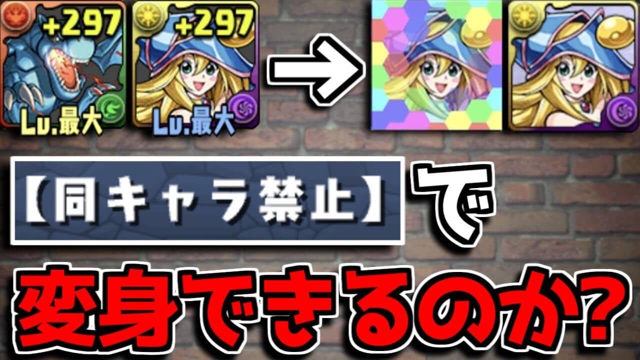 パズドラ 同キャラ禁止をすり抜ける裏技 翼竜はbmgがいる状態で変身できるのか Appbank