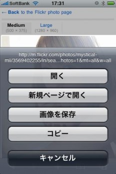 flickr