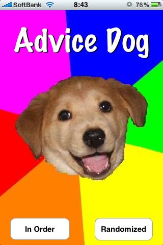 advice dog