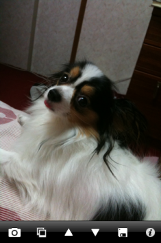 カメラのフラッシュプロ