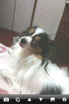 カメラのフラッシュプロ