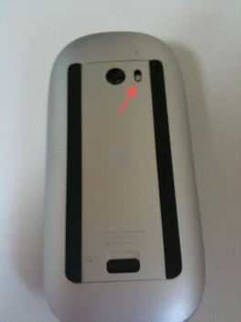 magicmouse6