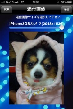 サクッと交換