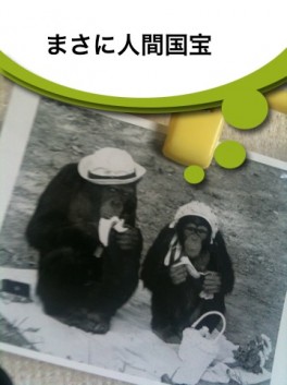 つぶやきカメラ