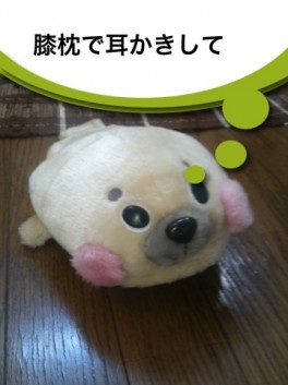つぶやきカメラ