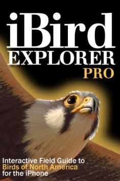 iBird