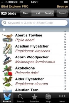 iBird