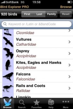 iBird
