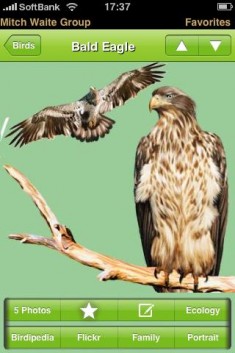 iBird