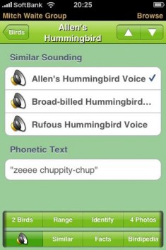 iBird