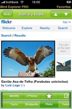 iBird