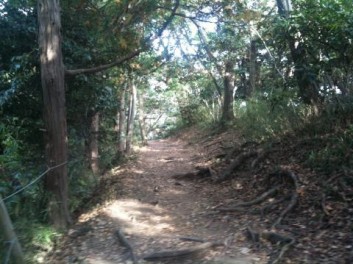 鎌倉ハイキングツアー