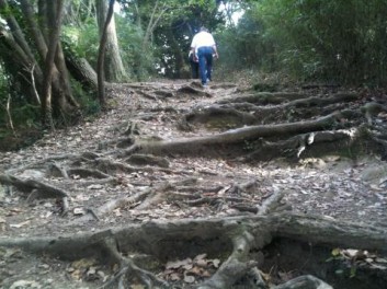 鎌倉ハイキングツアー