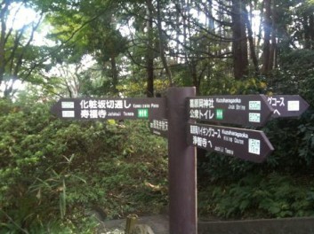 鎌倉ハイキングツアー