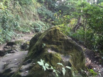 鎌倉ハイキングツアー