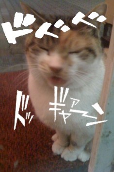 奇妙な写真メーカー
