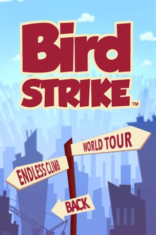 bird strike