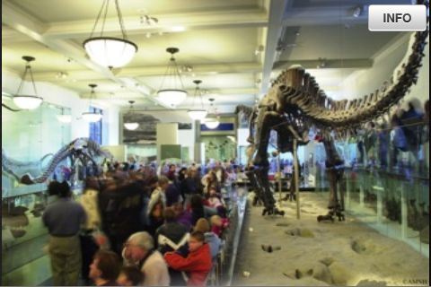 The American Museum of Natural History