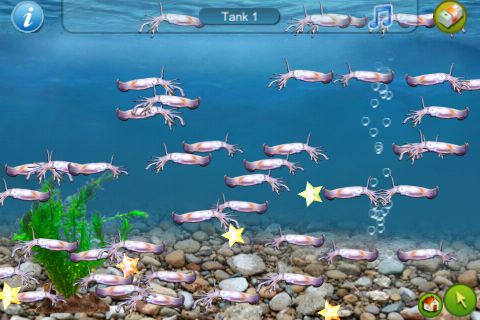 Tap Fish お魚さん育成 バイヤー 隣人の水槽お世話ゲーム 美しい水槽の世界へ 無料 757 Appbank