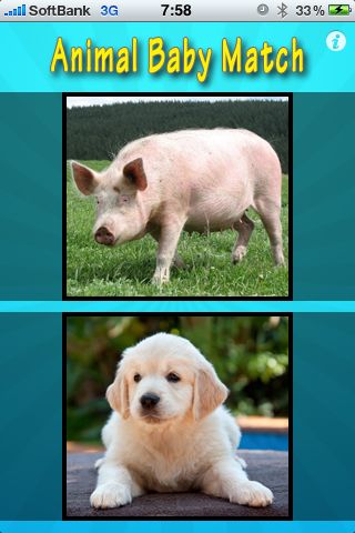 animal baby match