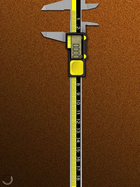 RealCaliper - 1