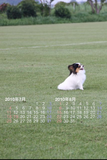 mmCalendar(壁紙カレンダー) mmCalendar(壁紙カレンダー)