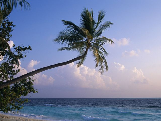 Maldives Landscape HD