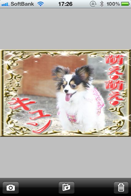 小悪魔かめら 小悪魔かめら