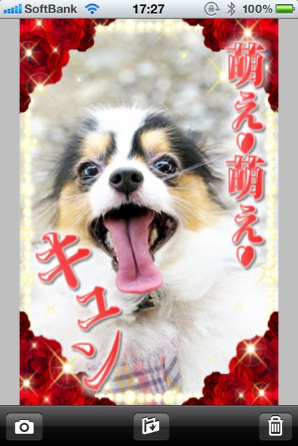 小悪魔かめら 小悪魔かめら