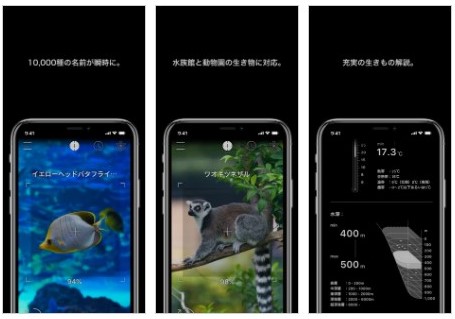[iPhone]判別したり詳しく調べられるおすすめの生き物図鑑アプリ10選
