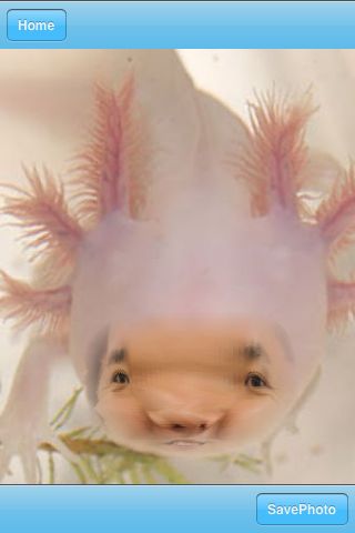 Anicam いろんな動物とあなたの顔を合成できちゃうアプリ 爆笑必至 3515 Appbank Anicam いろんな動物とあなたの顔を合成できちゃうアプリ 爆笑必至 3515 Appbank
