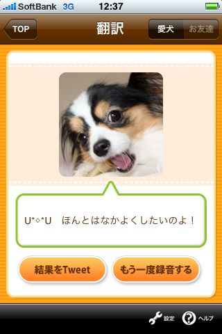 バウリンガル バウリンガル