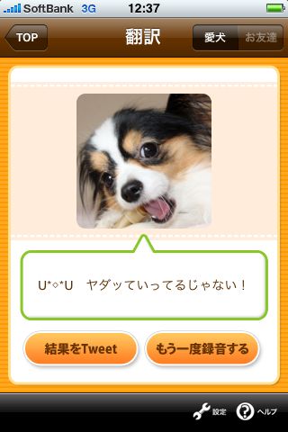 バウリンガル バウリンガル