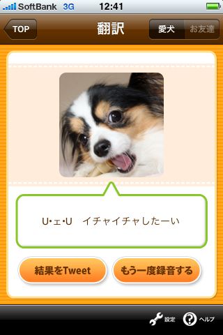 バウリンガル バウリンガル