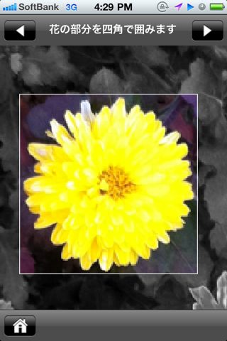 花しらべ 花認識 花図鑑版 約1400の植物を収録 撮った写真で花の種類が検索できる 1 Appbank