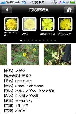 花しらべ 花認識/花図鑑版