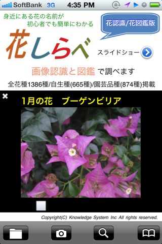花しらべ 花認識/花図鑑版