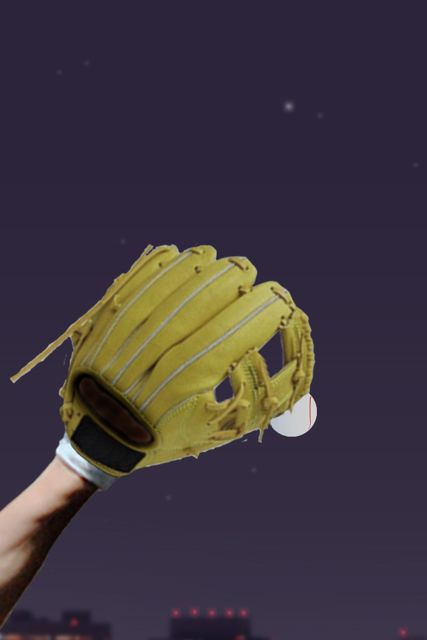 Sacrifice Fly Sacrifice Fly