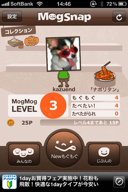 MogSnap MogSnap