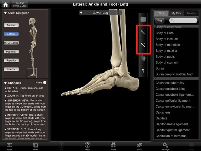 Skeleton System Pro II (NOVA Series) iPad edition
