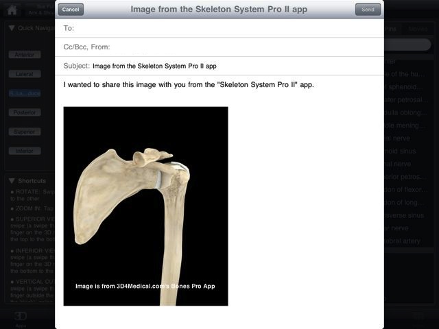 Skeleton System Pro II (NOVA Series) iPad edition