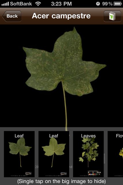 leafsnap