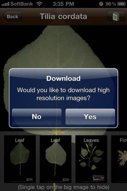 leafsnap