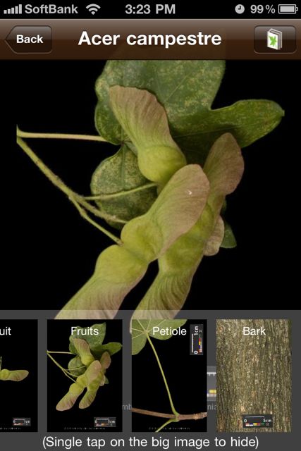 leafsnap
