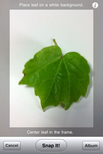 leafsnap