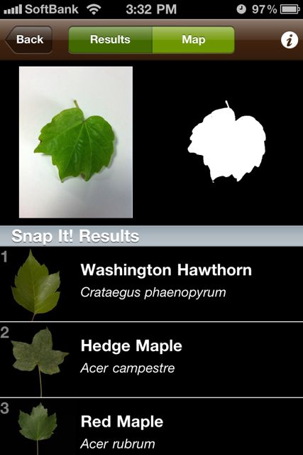 leafsnap