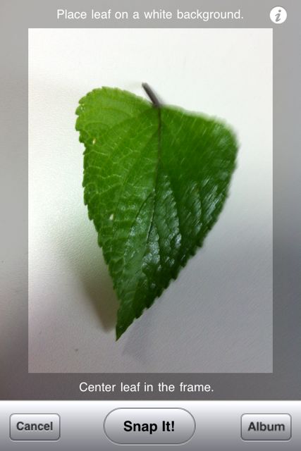 leafsnap
