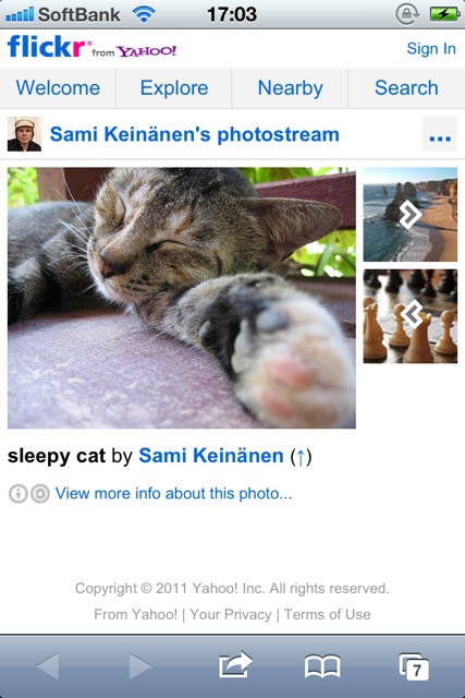 CutieCatPhotos - 08