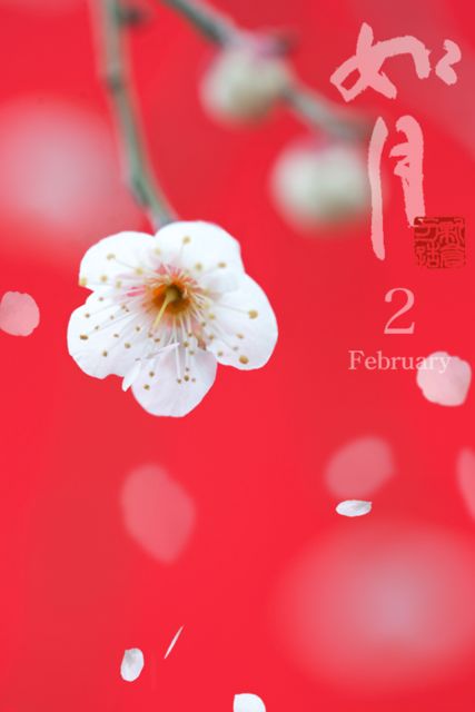 [iはなといろカレンダー - そよ風に揺れる美しい花たち - 2012 (10)